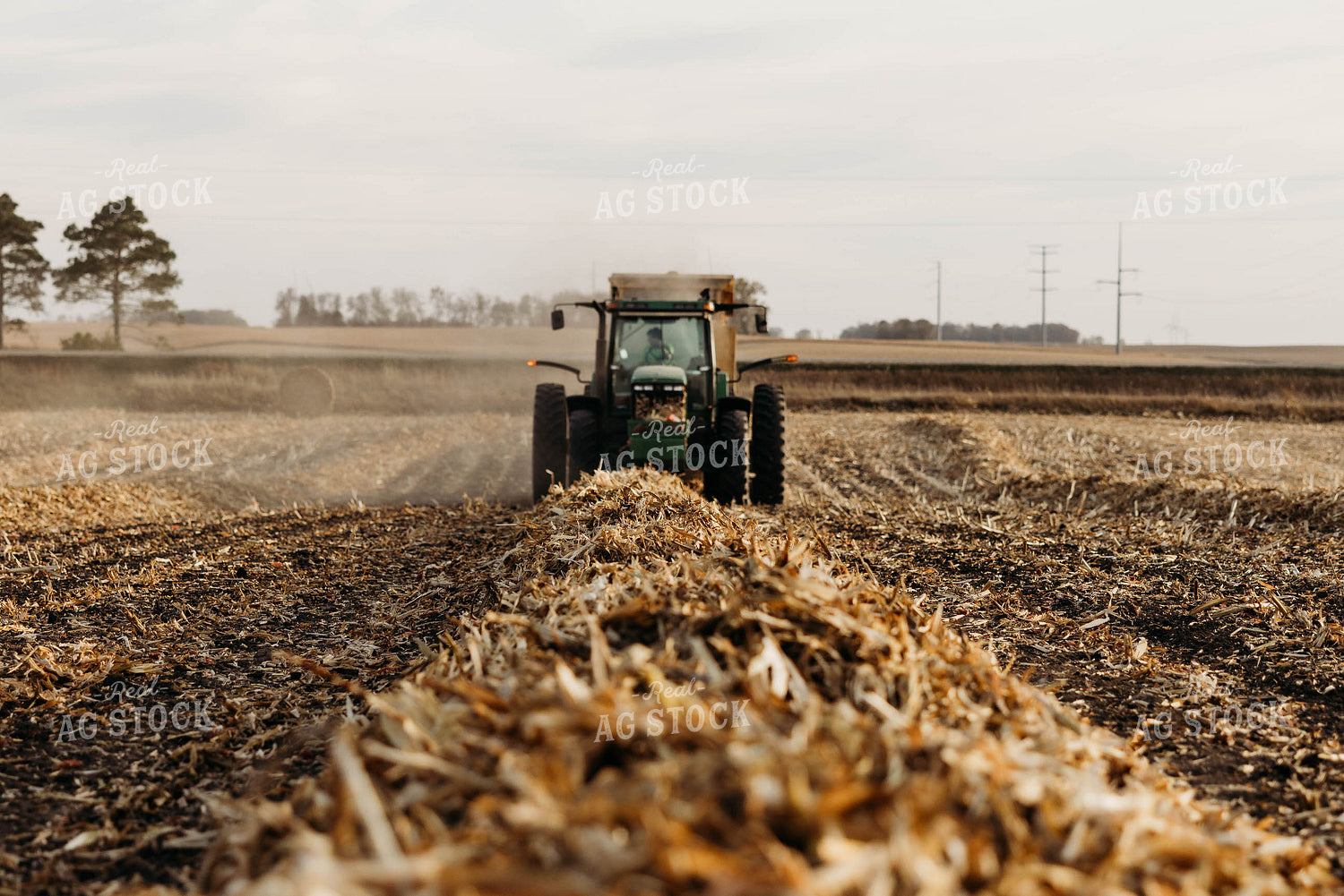 Baling Corn Stalks 152065