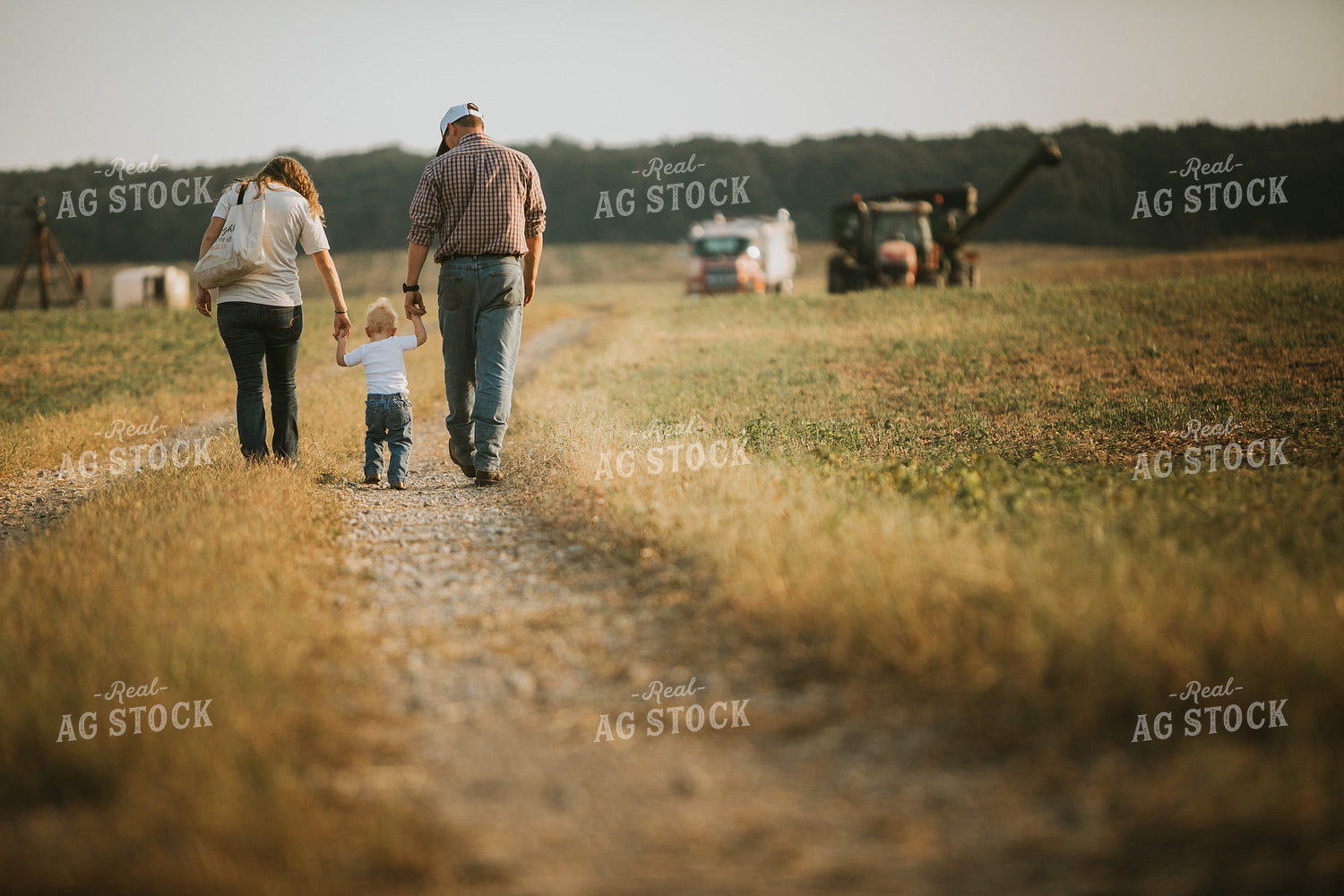 Farm Family During Soybean Harvest 4815
