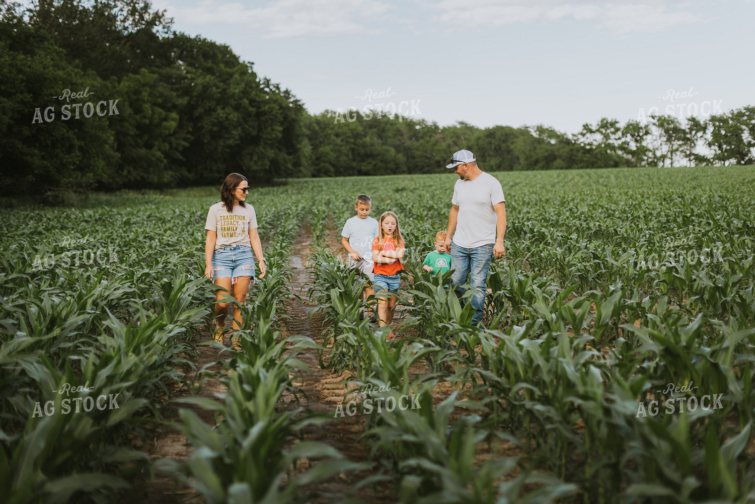 Farm Family Checking Corn 8732