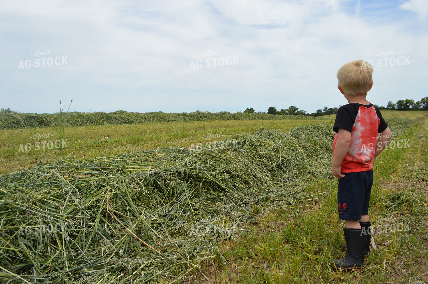 Farm Kid by Cut Hay 206057