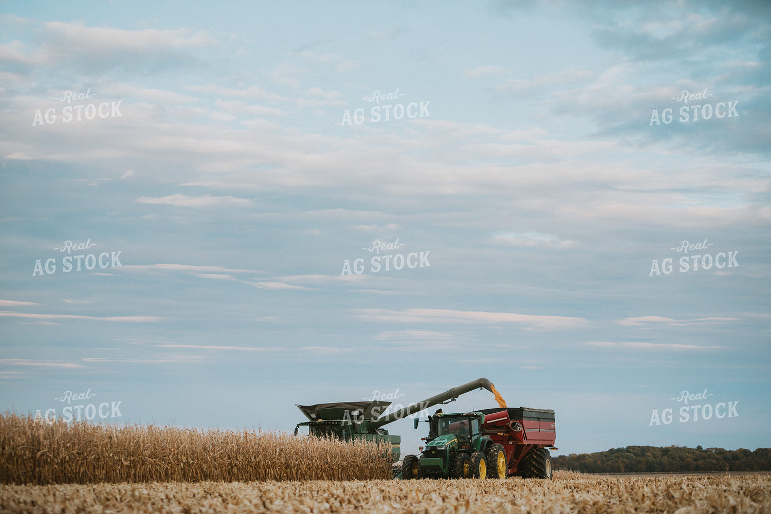Combine Unloading Corn into Grain Cart 6932