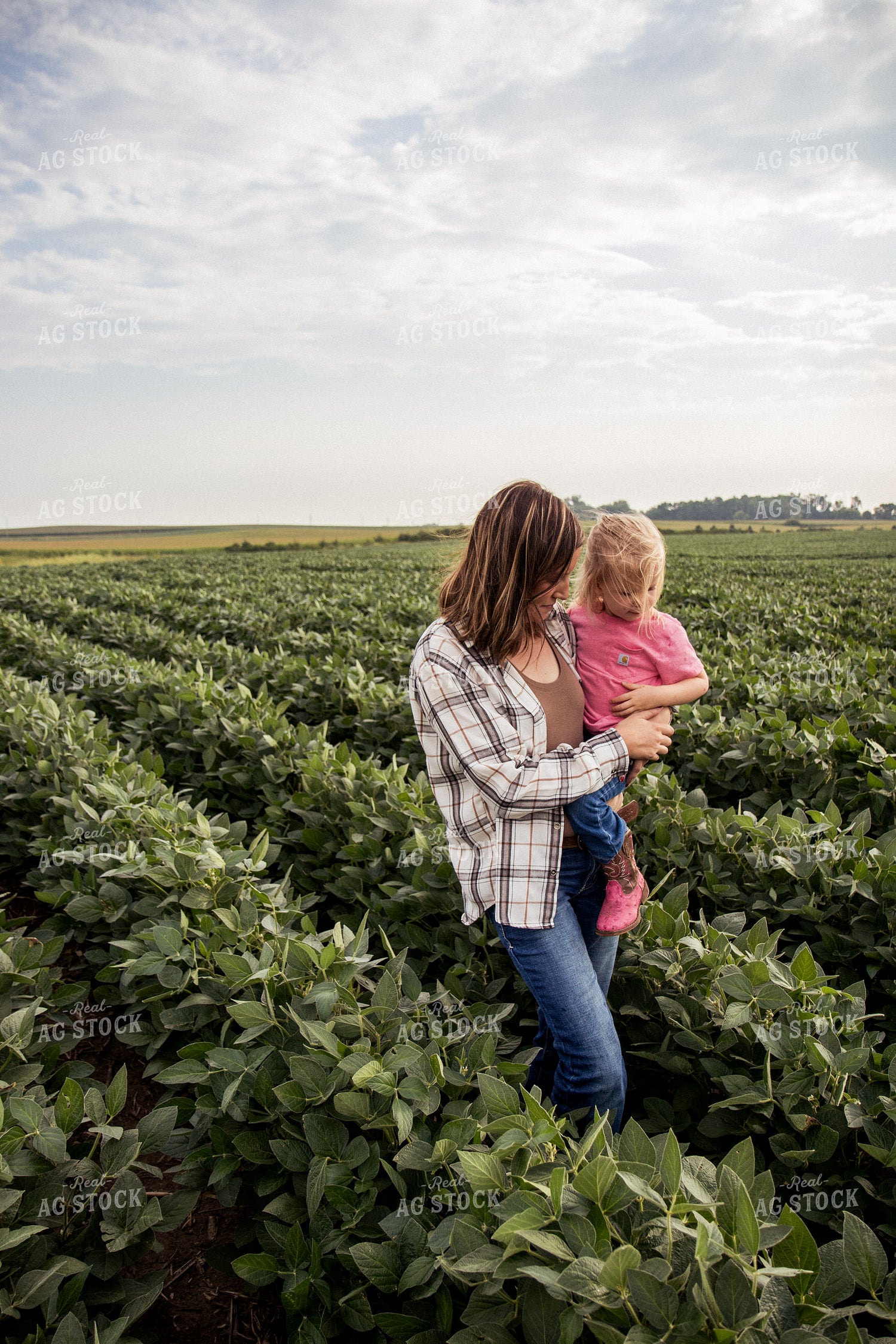 Farm Family Yield Checking Soybeans 67367