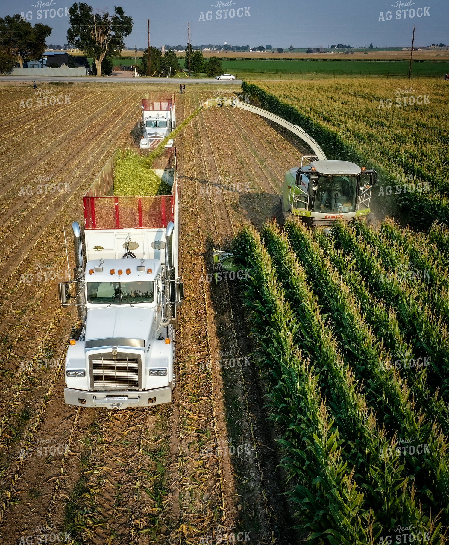 Silage Harvest Drone 56199