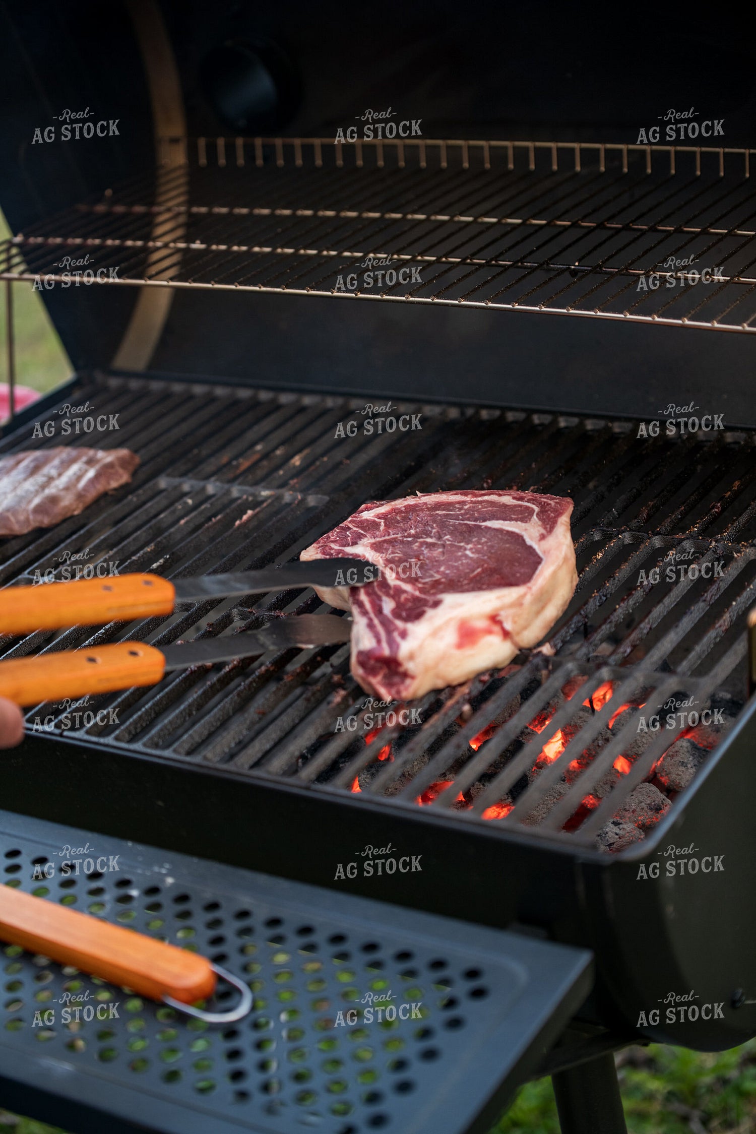 Meat on the Grill 76633