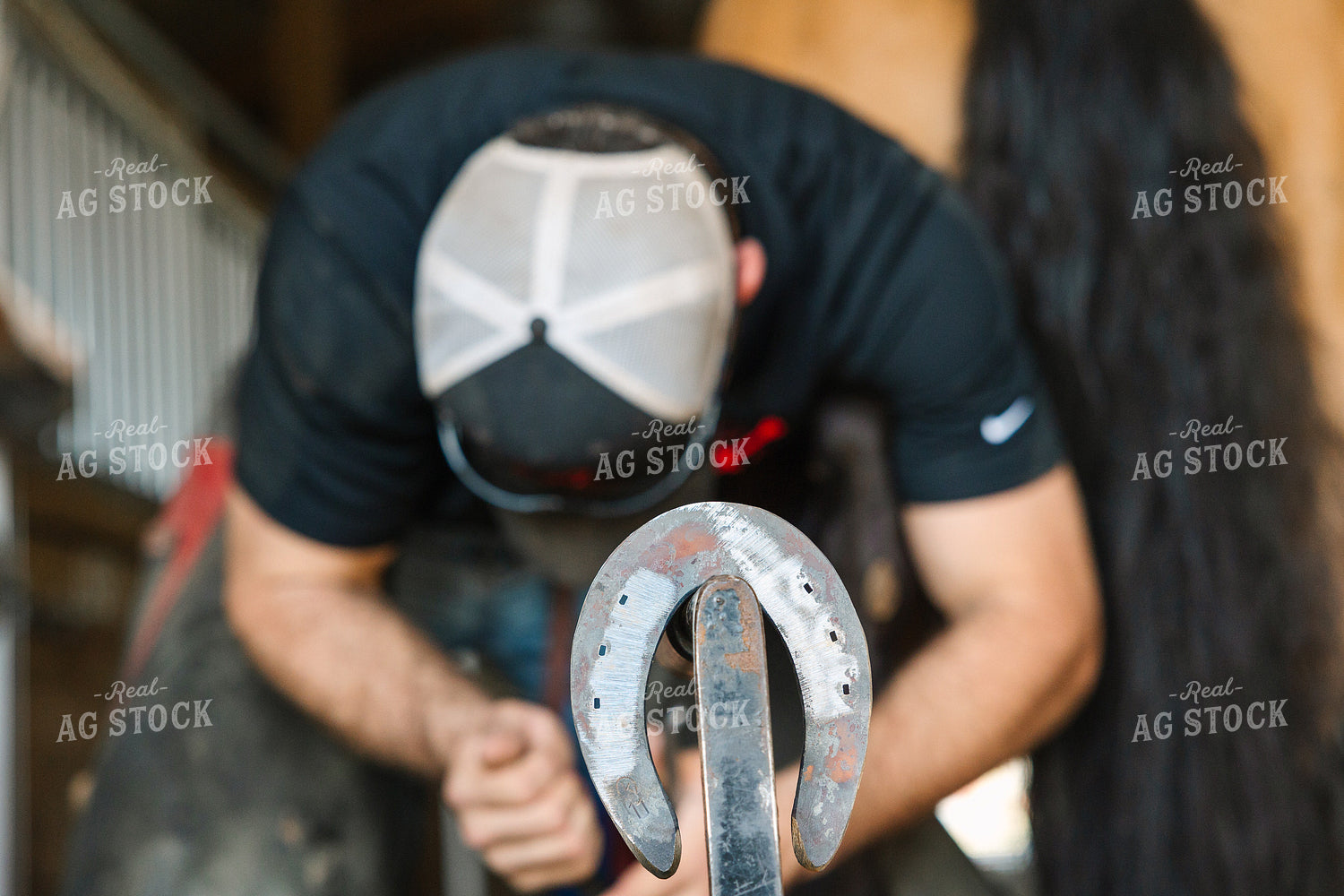 Farrier Fitting Horseshoes 52713