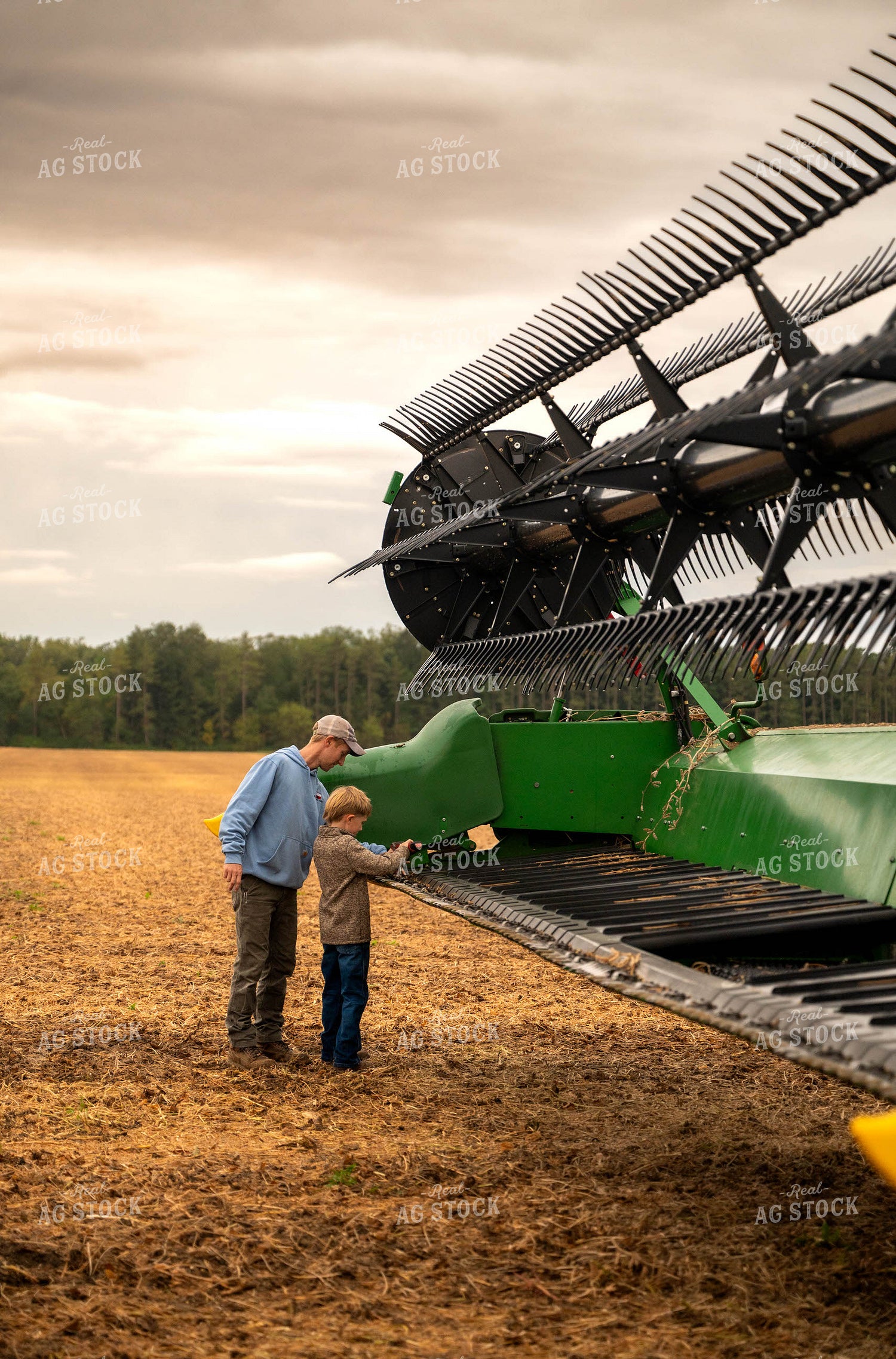 Farmer and Son Fixing Combine Head 115402