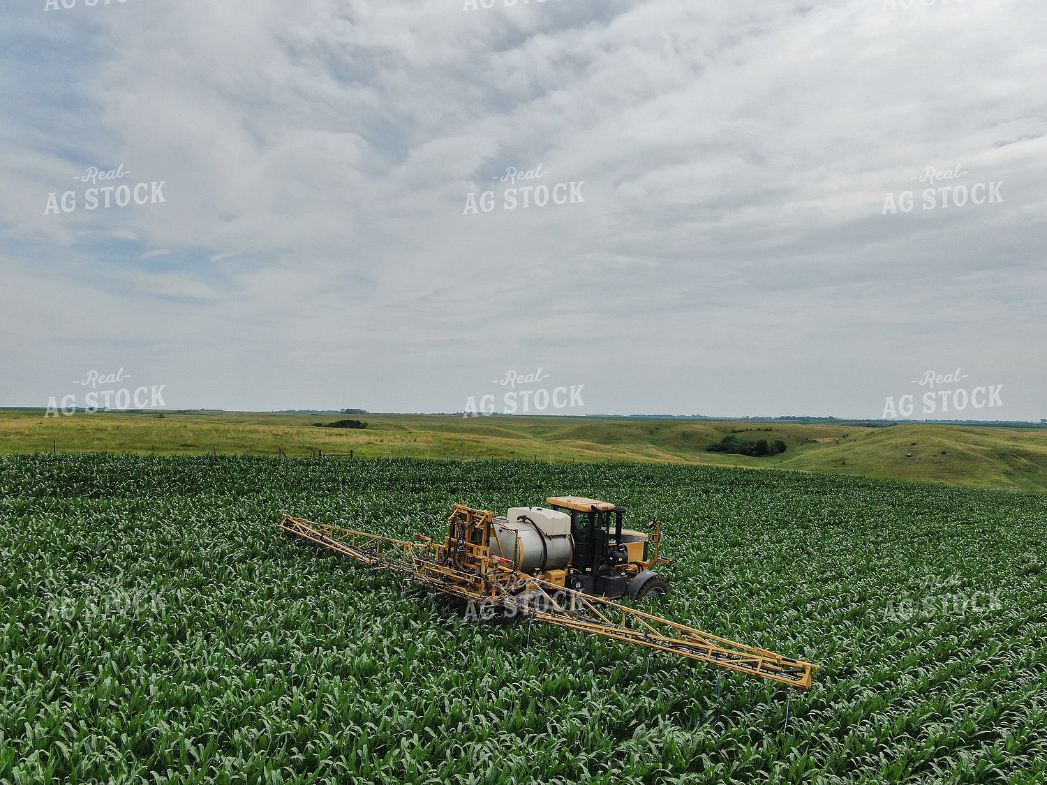 Spraying Corn Field 141018