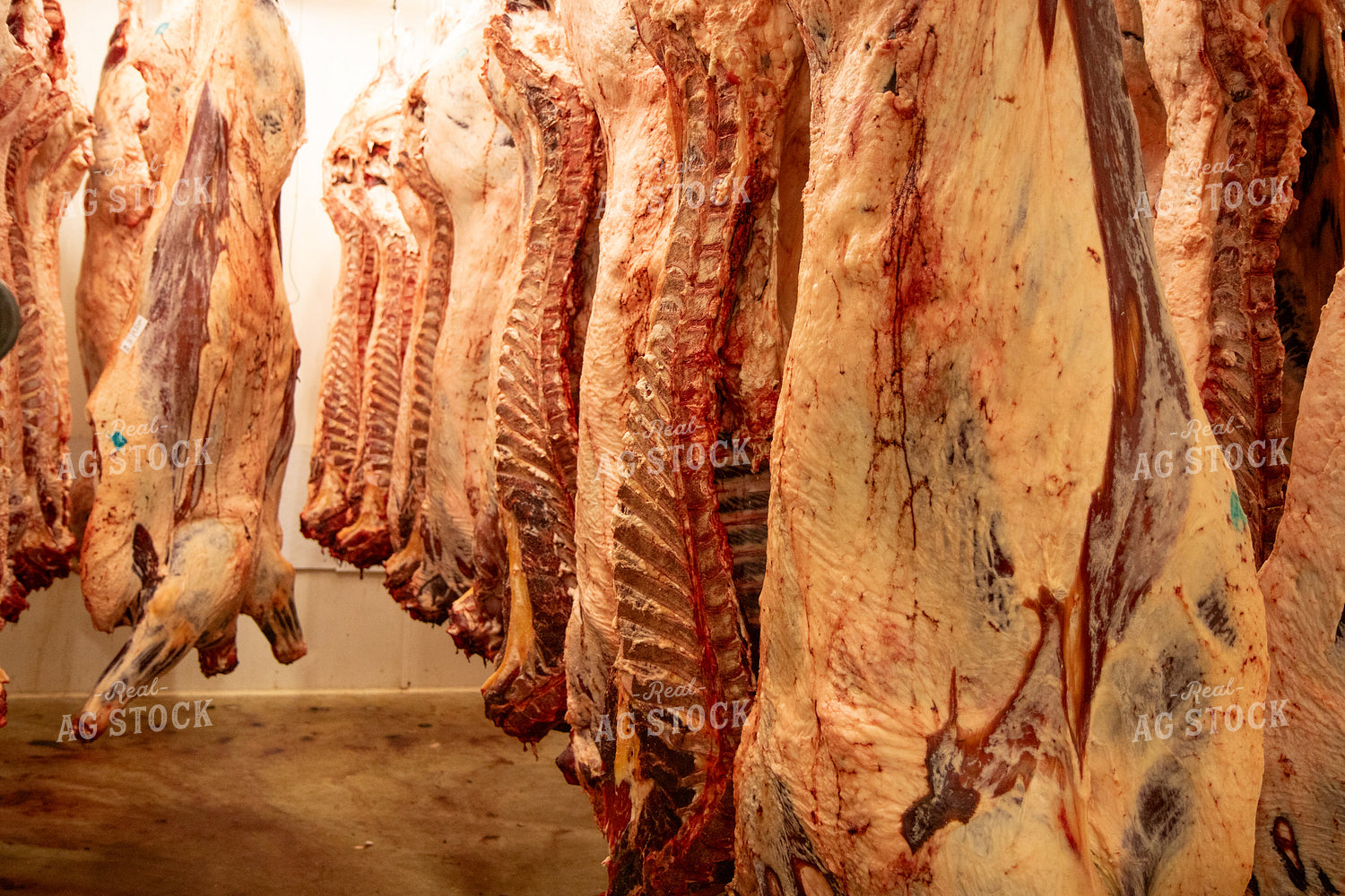 Processing Meat 67509