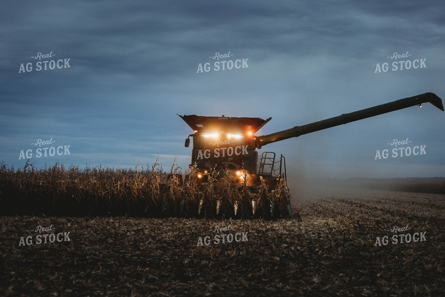 Corn Harvest 8638