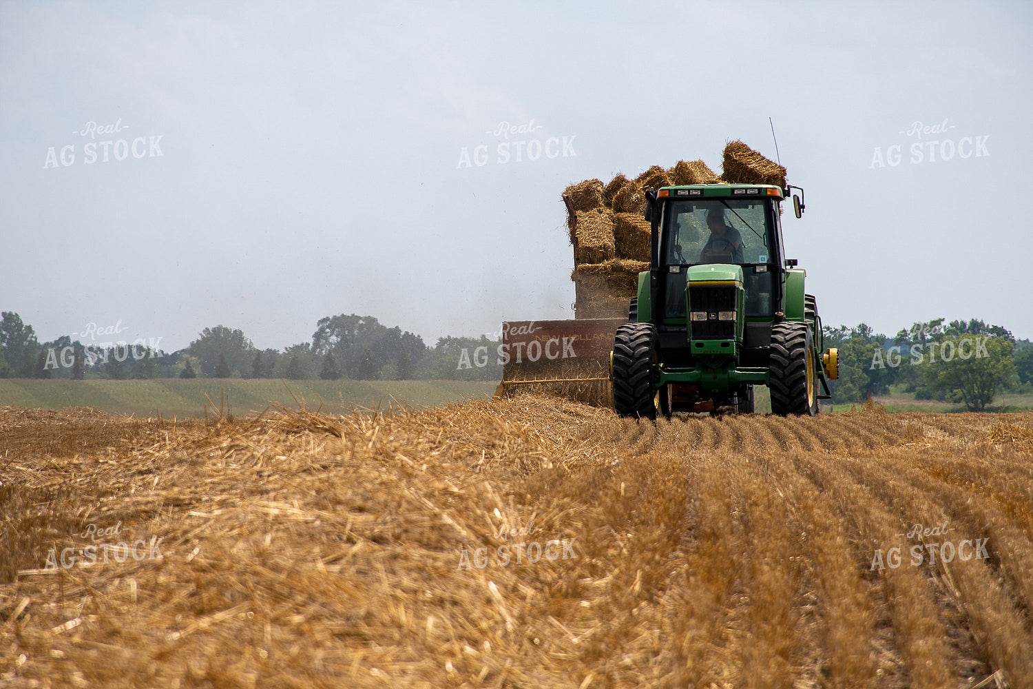 Baling Straw 50136