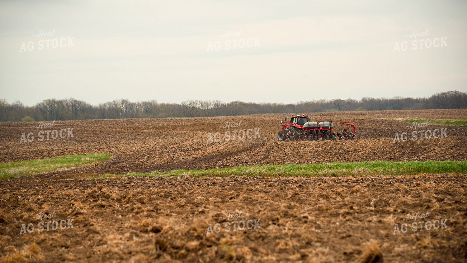 Planting into Tilled Cover Crops 25128