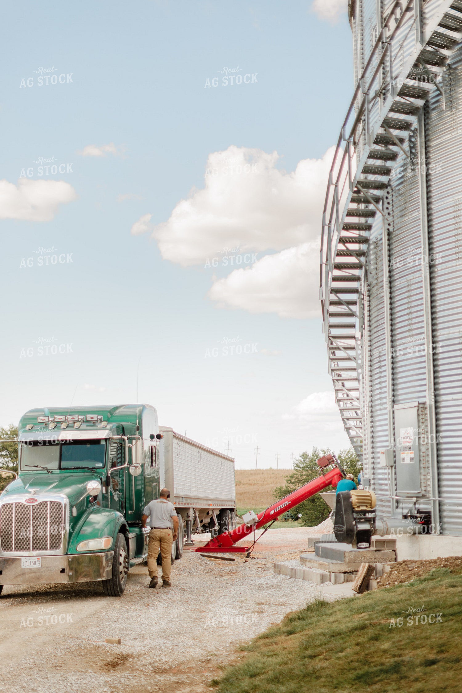Farmer Unloading Corn 9355