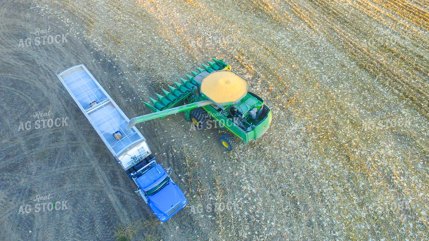 Combine Filling up Semi Trailer with Corn 85011
