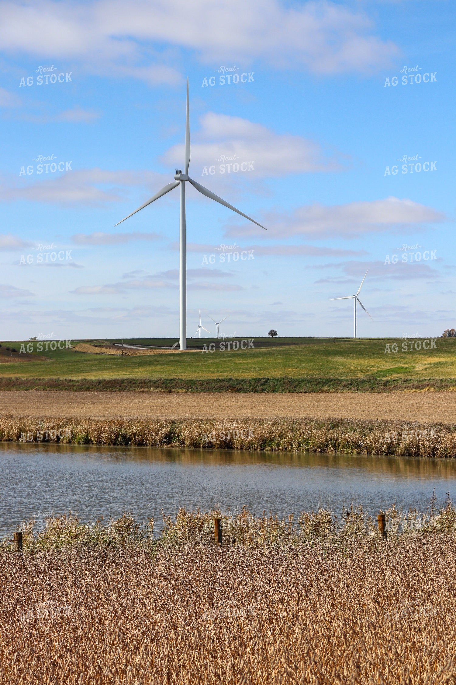 Windmills with Farm Pond and Soybeans 67000