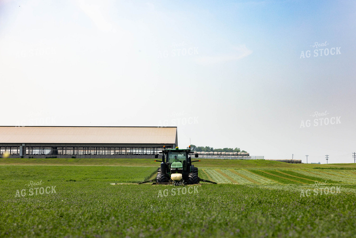 Cutting Hay 152000