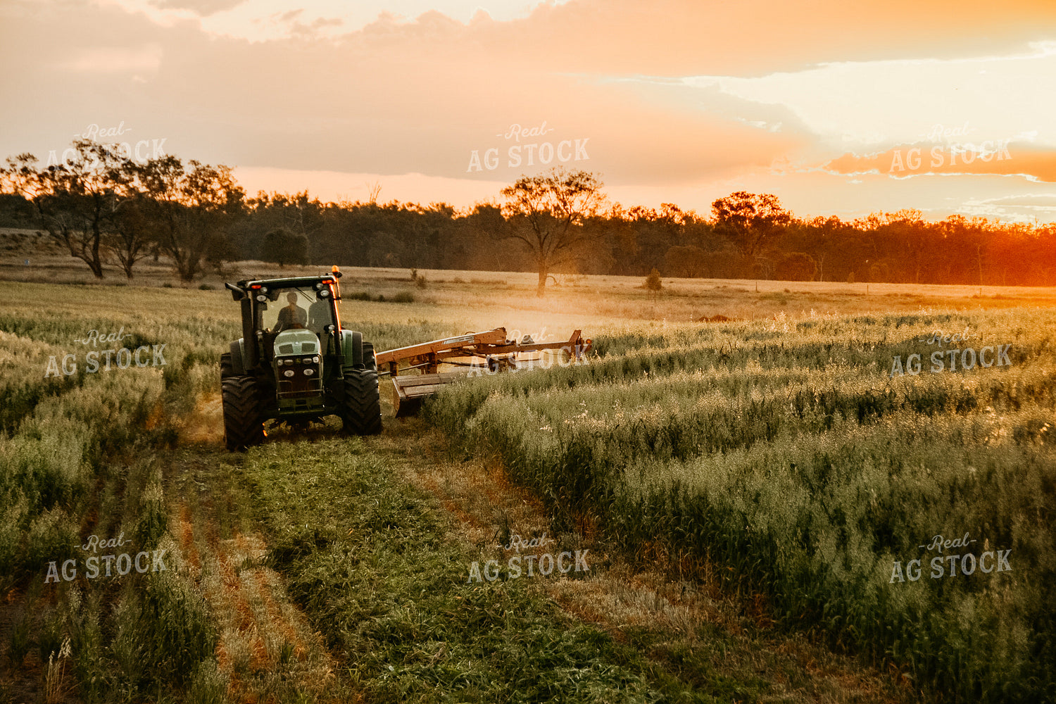 Mowing Pasture Grass Hay 64077