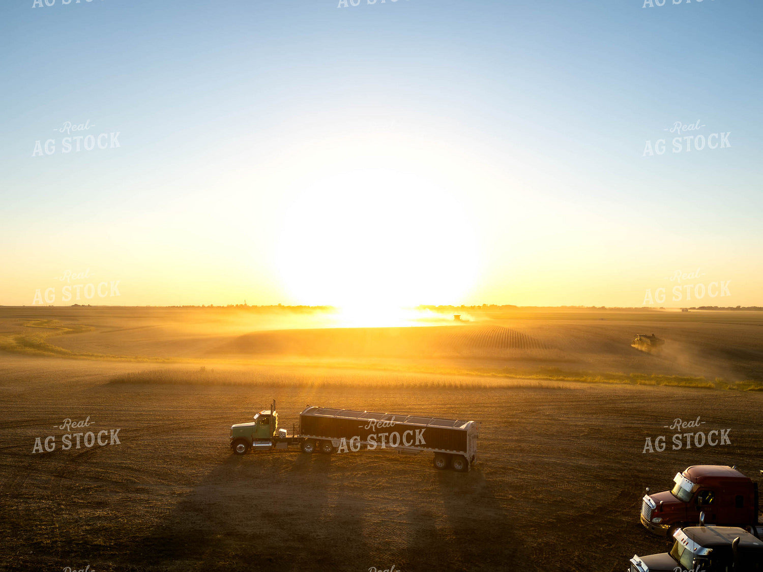 Aerial of Soybean Harvest 115612