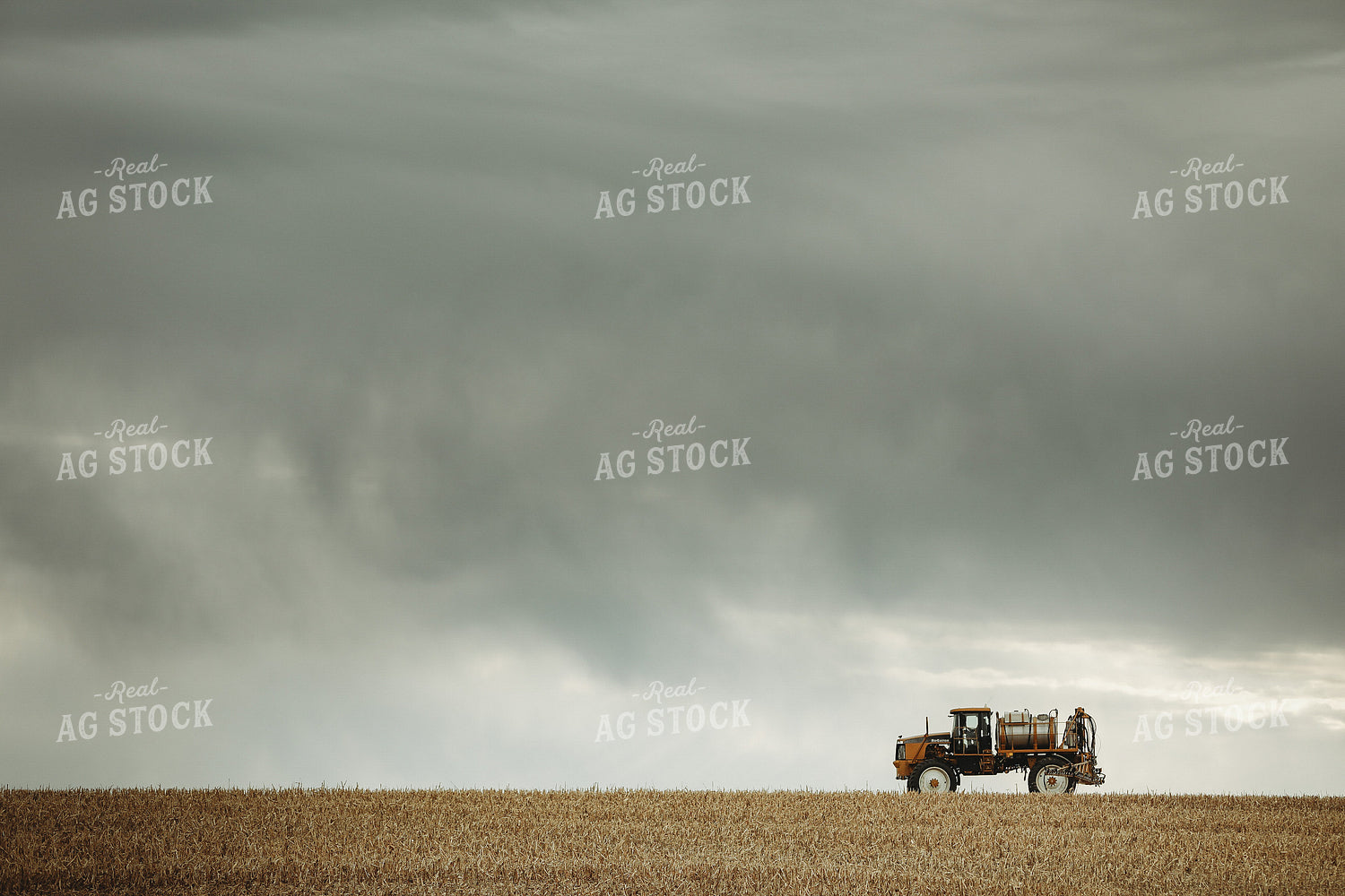 Self Propelled Sprayer Spraying in Corn Field 3659