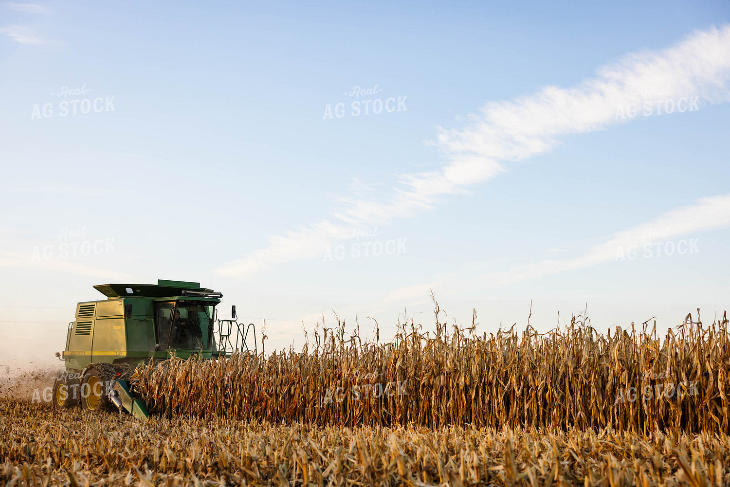 Corn Harvest 152360
