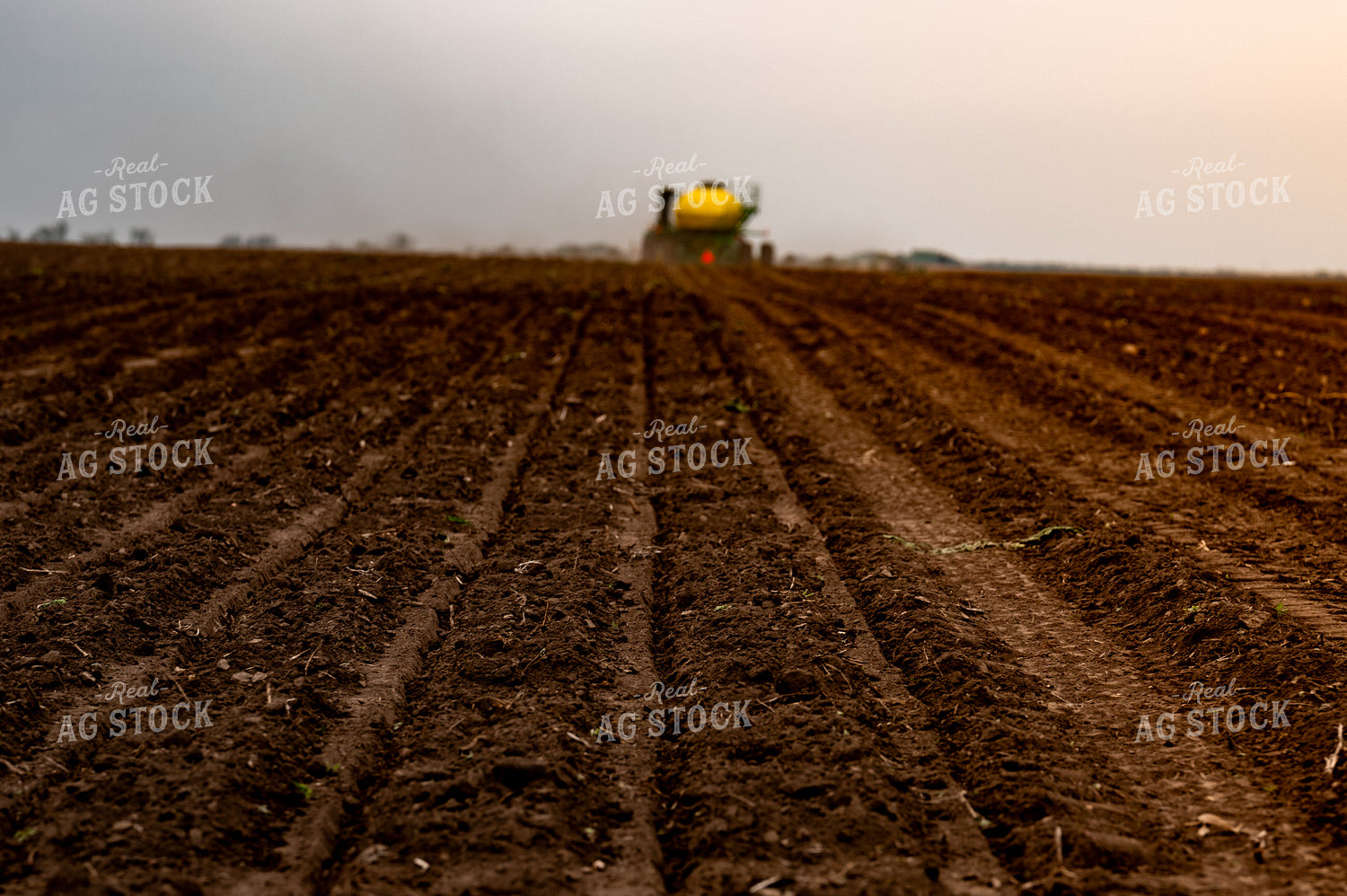 Planting 185212