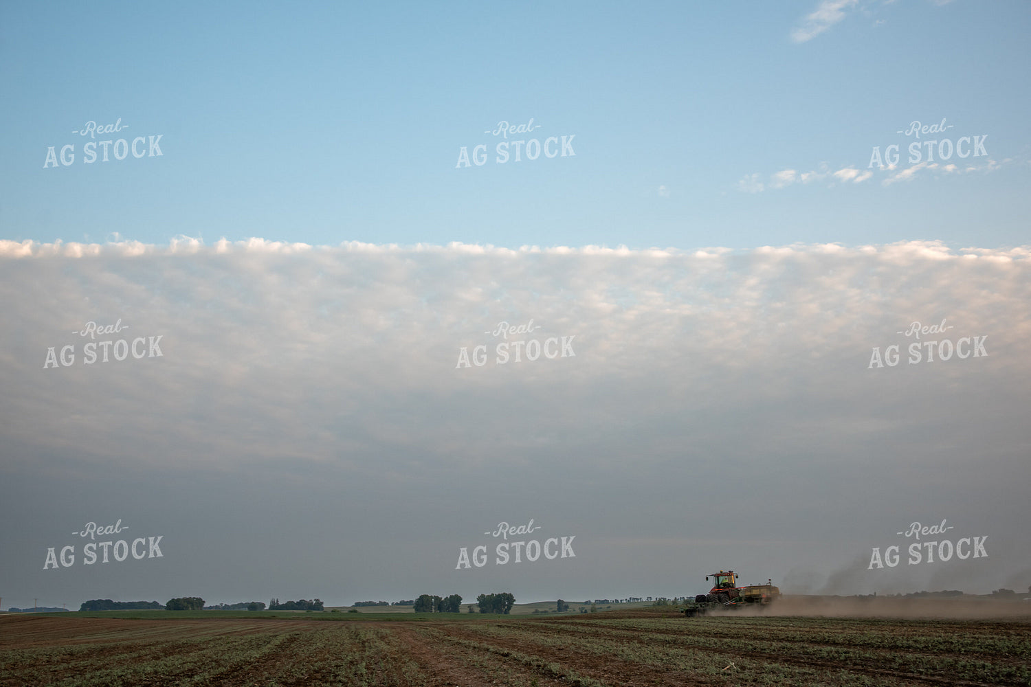 Planting into Cover Crops 76418