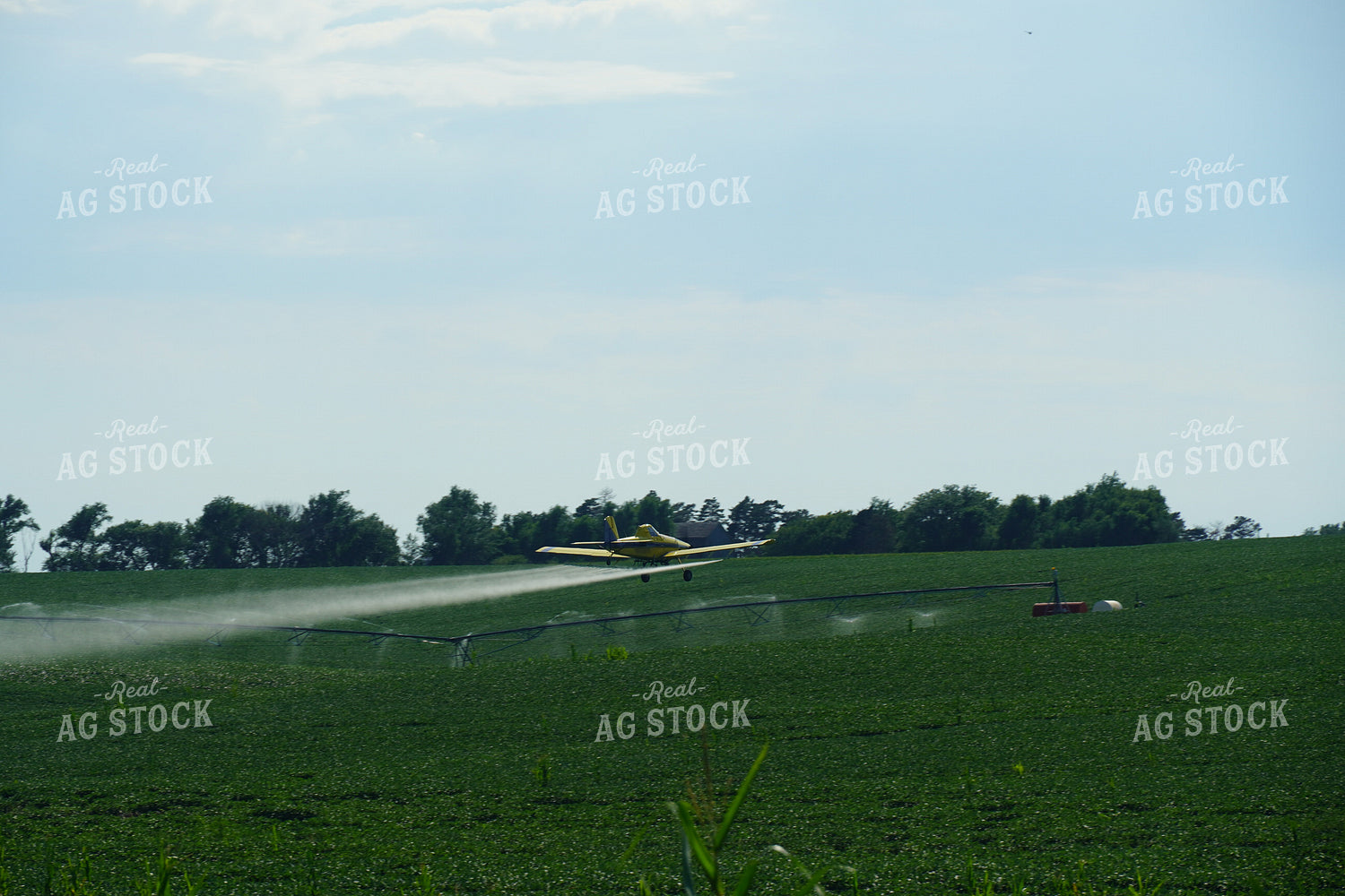 Crop Duster Flying Over Irrigation Pivot and Soybean Field 65003