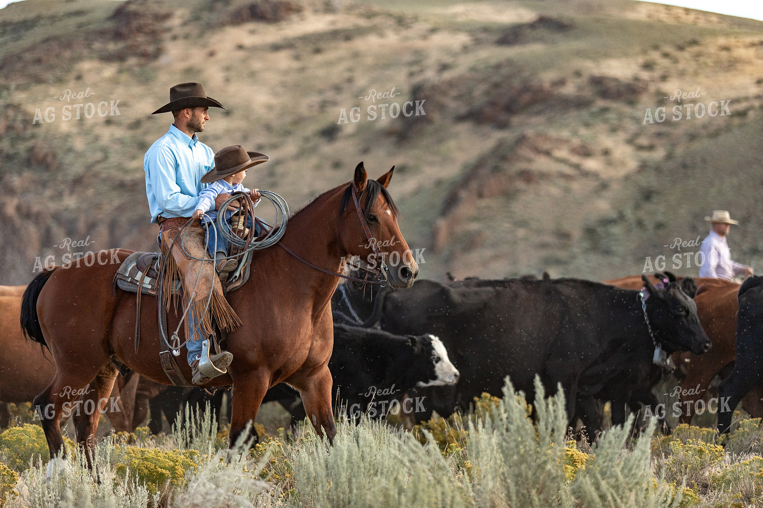 Rancher and Ranch Kid on Horseback 188046