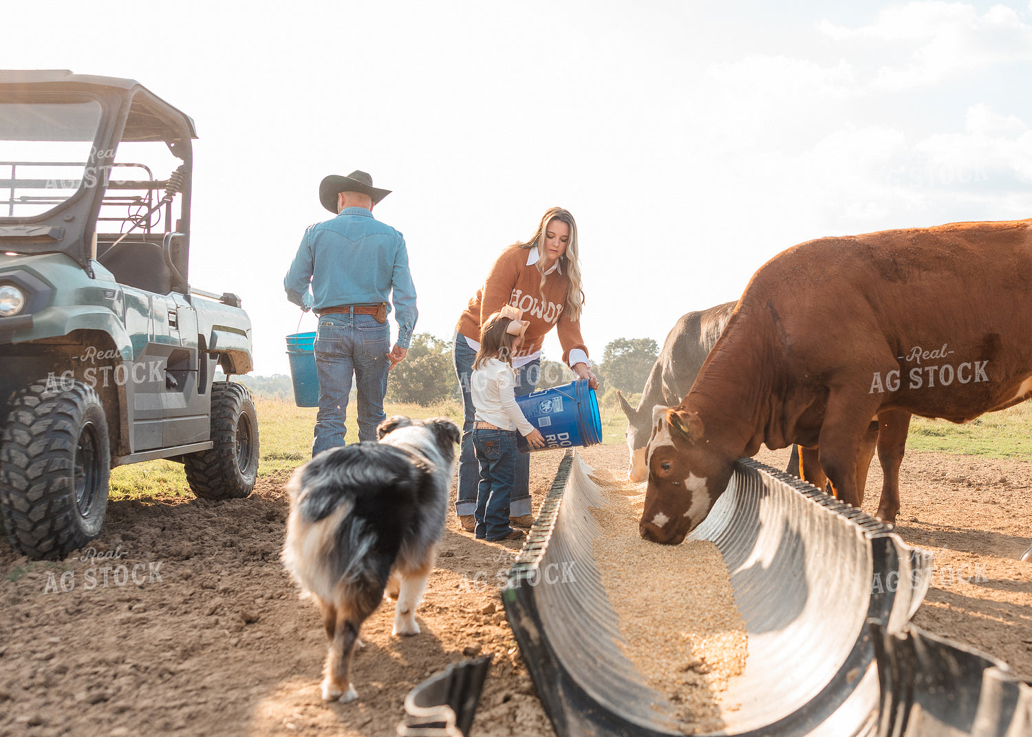Farm Famiily Feeding Cattle 256004