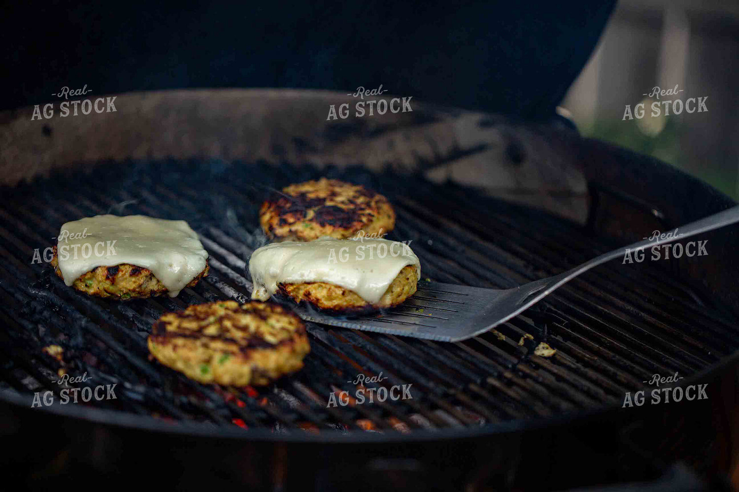 Chicken Burgers on the Grill 134000