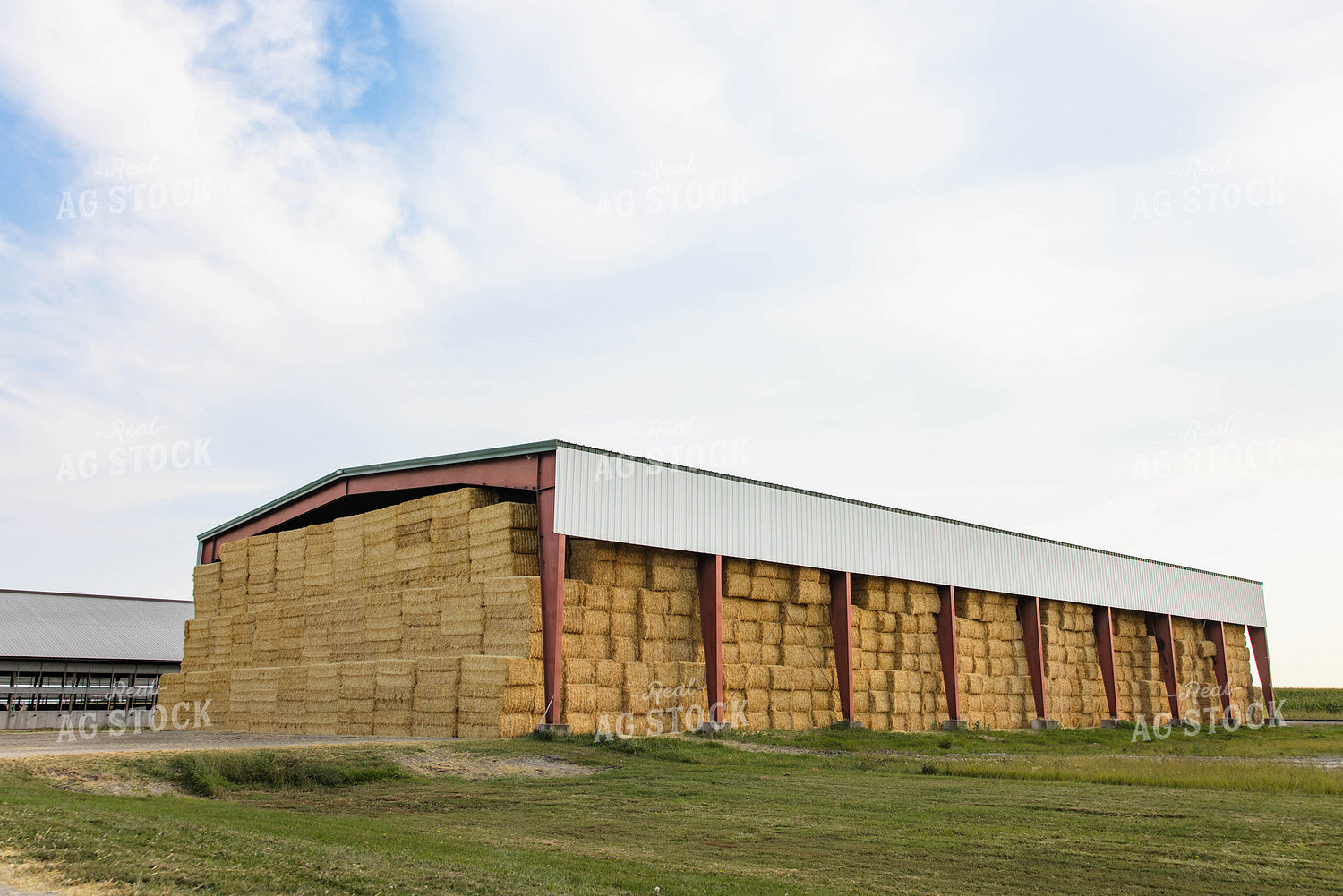 Wheat Straw Bale Storage 152610