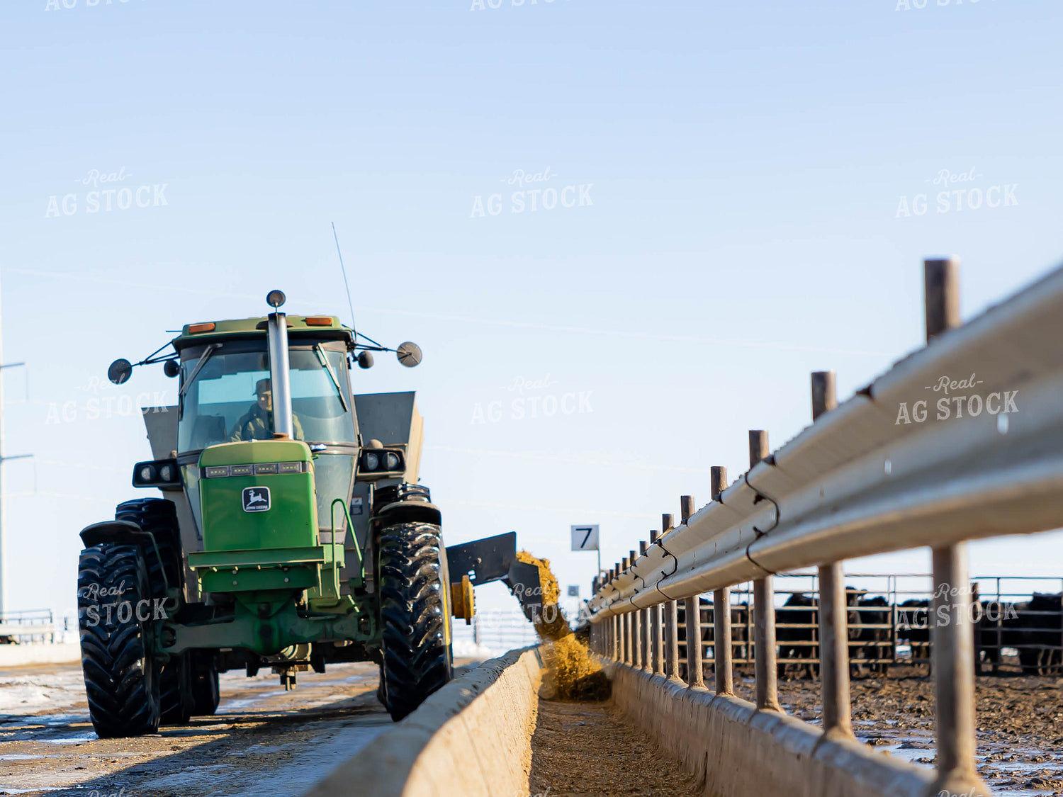 Filling Trough With Feed Wagon 70216