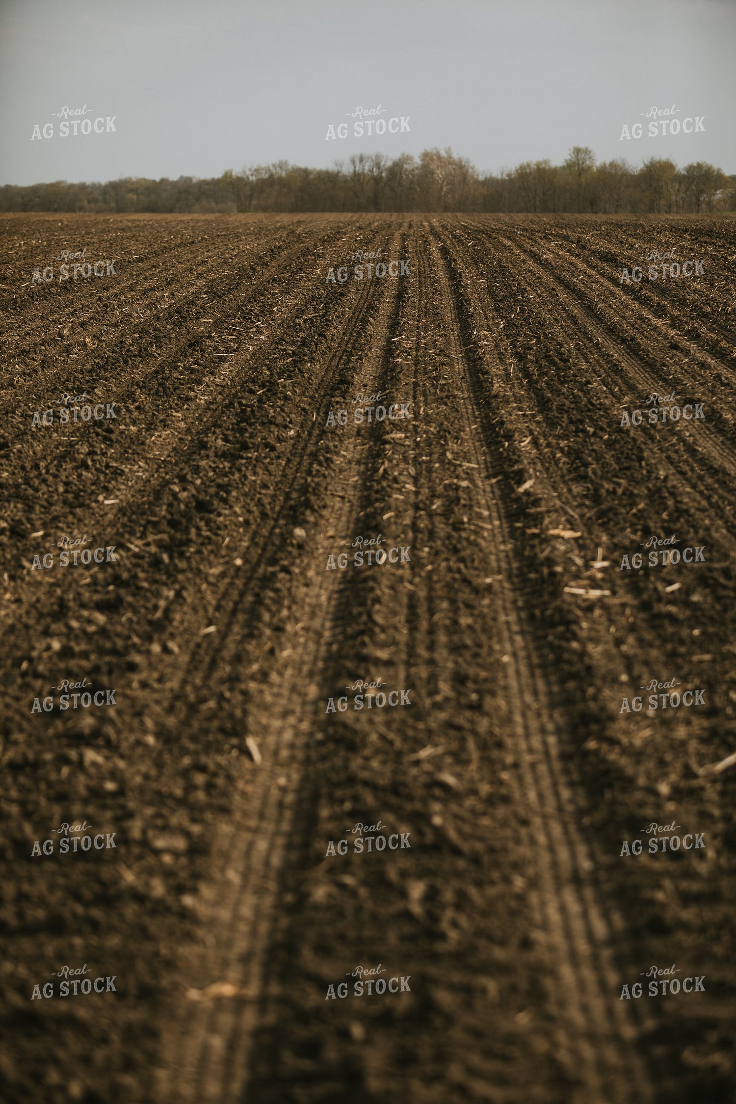 Just Planted Soil in Field 5481