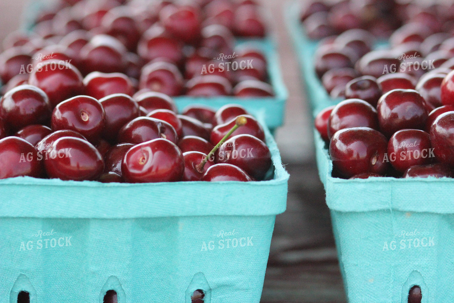Cherries in Punnet 73011