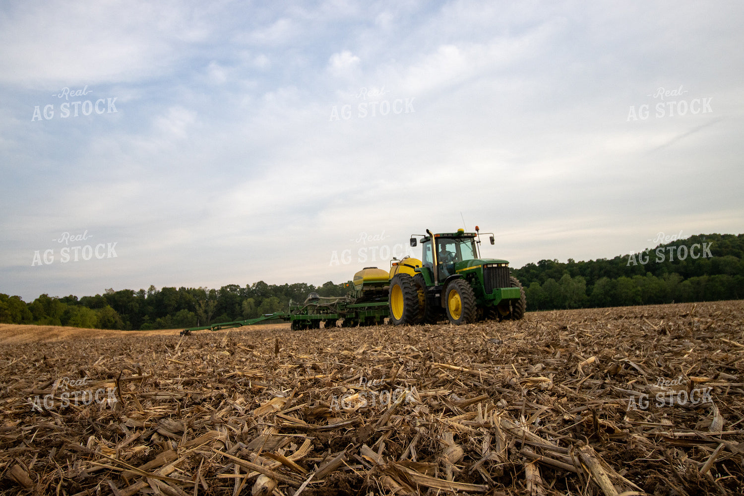 Planting at Sunset 52145