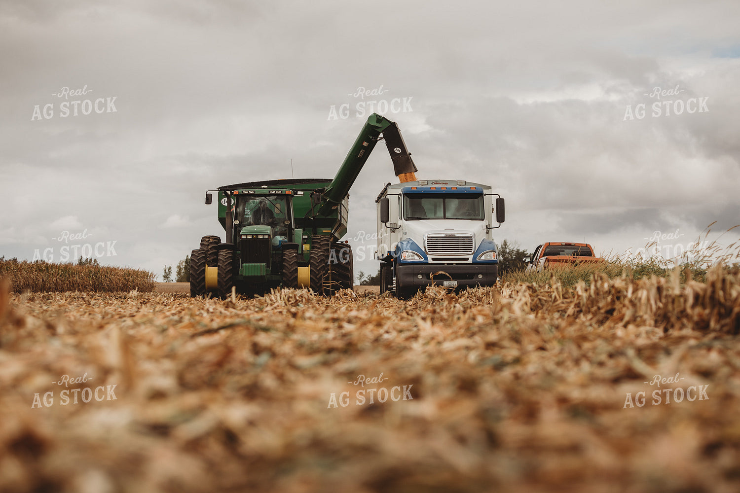 Auger Wagon Grain Cart Filling Tandem Truck 3356