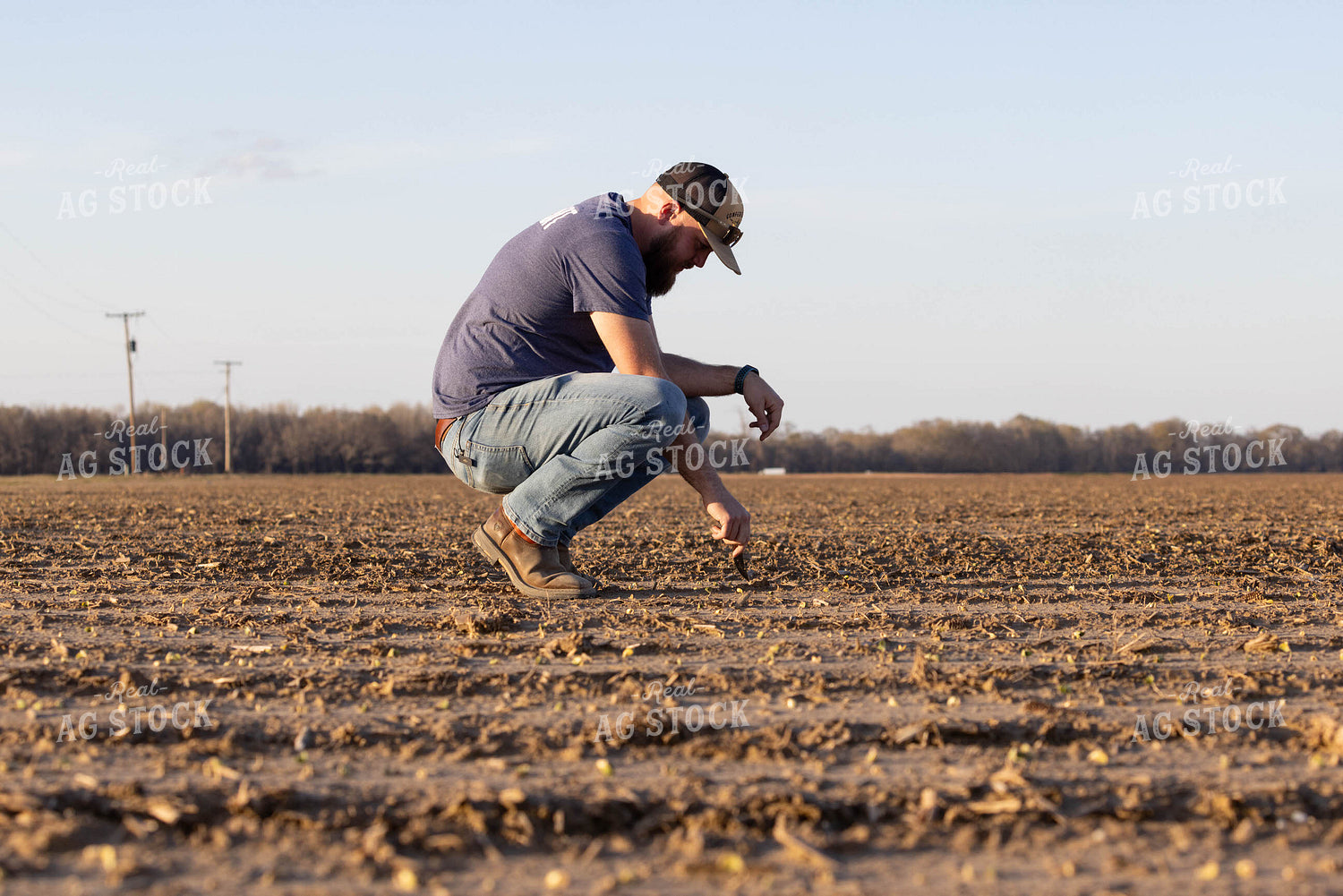Scouting Emergence 79619