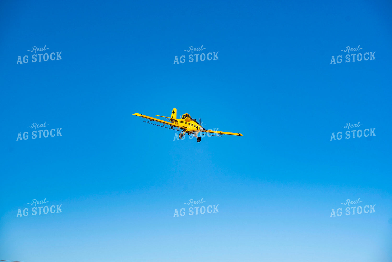 Crop Duster 136267