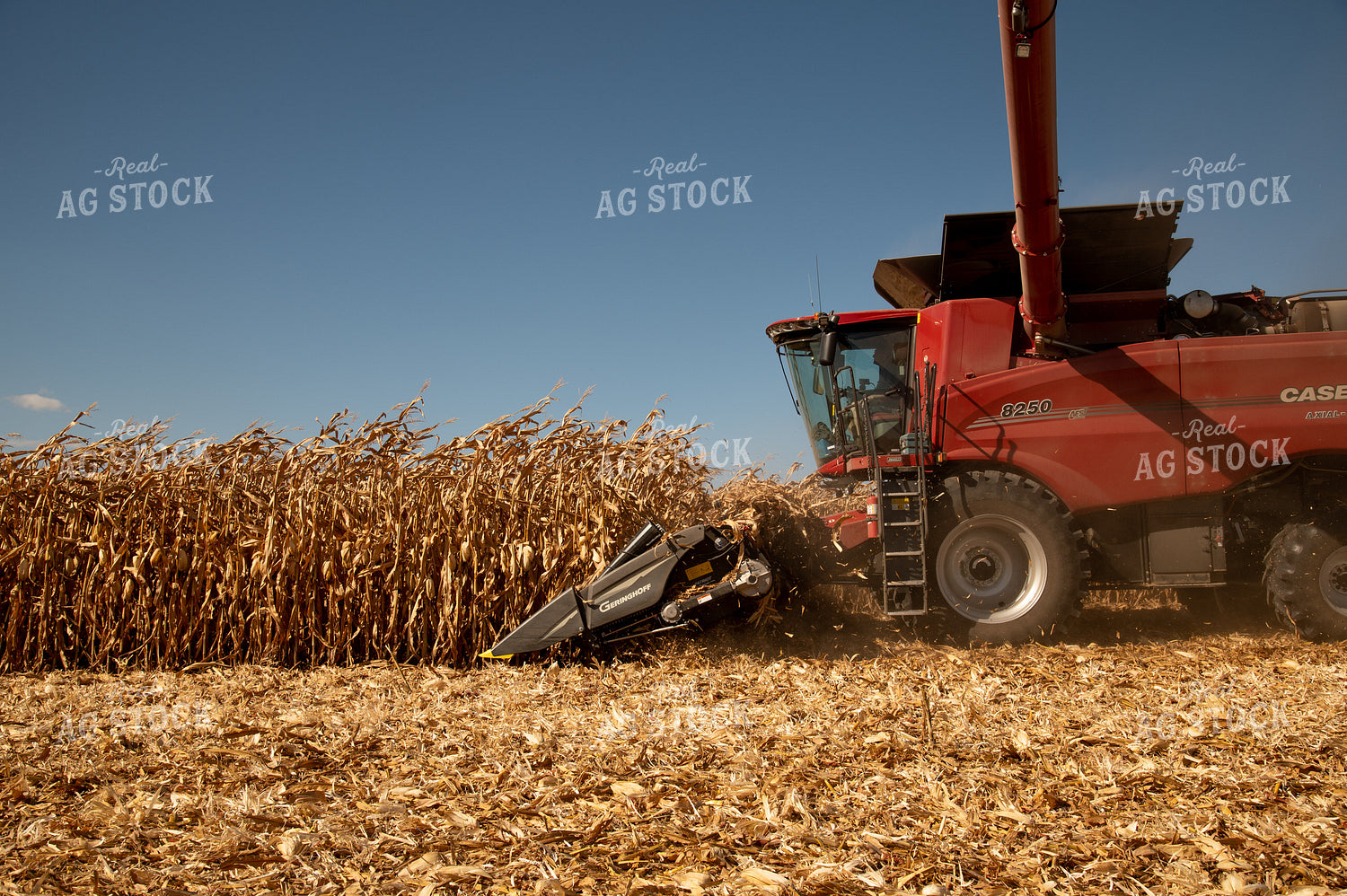 Combine Harvesting Corn on a Sunny Day 25927