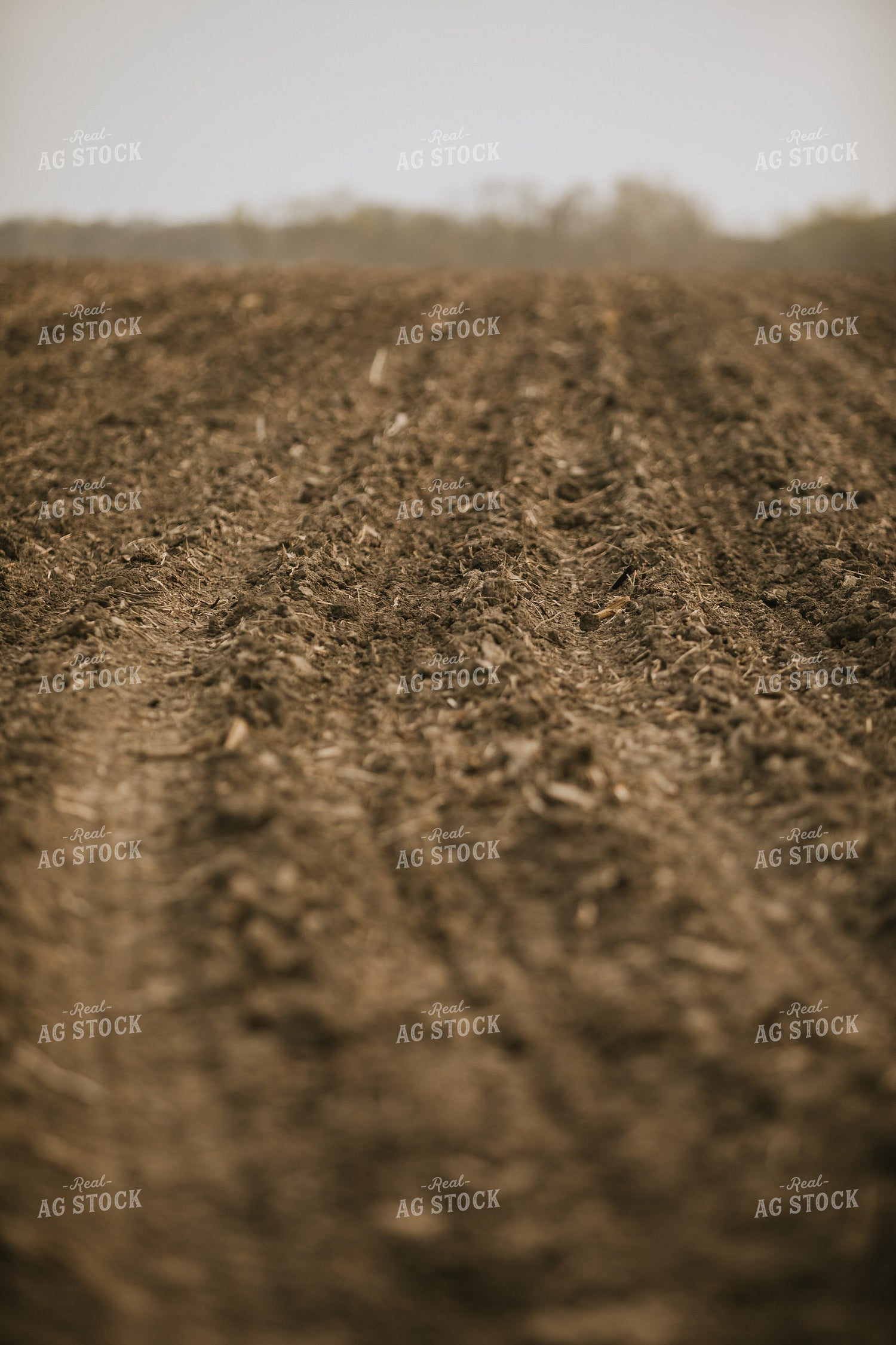 Just Planted Soil in Field 5466