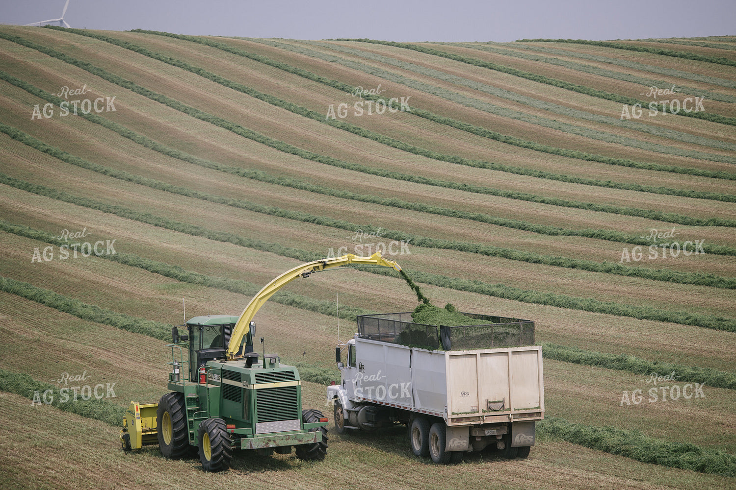 Harvesting Hay Silage 70085