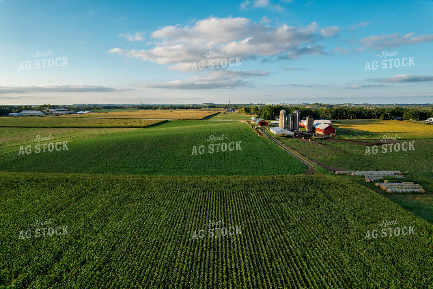 Aerial of Farmland in Summer 261076