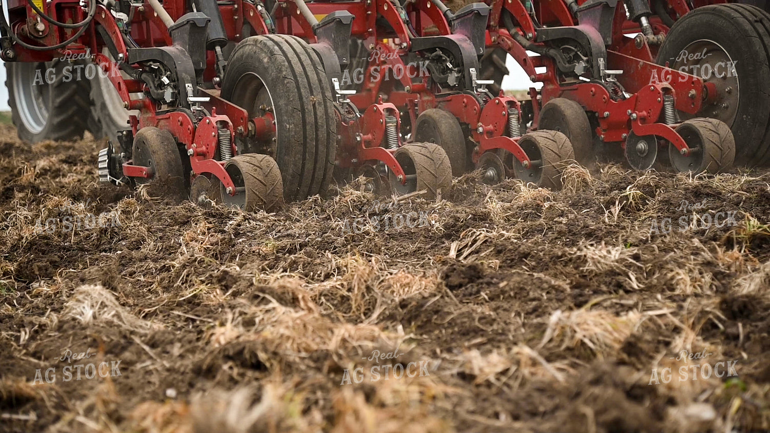 Planting into Tilled Cover Crops 25179