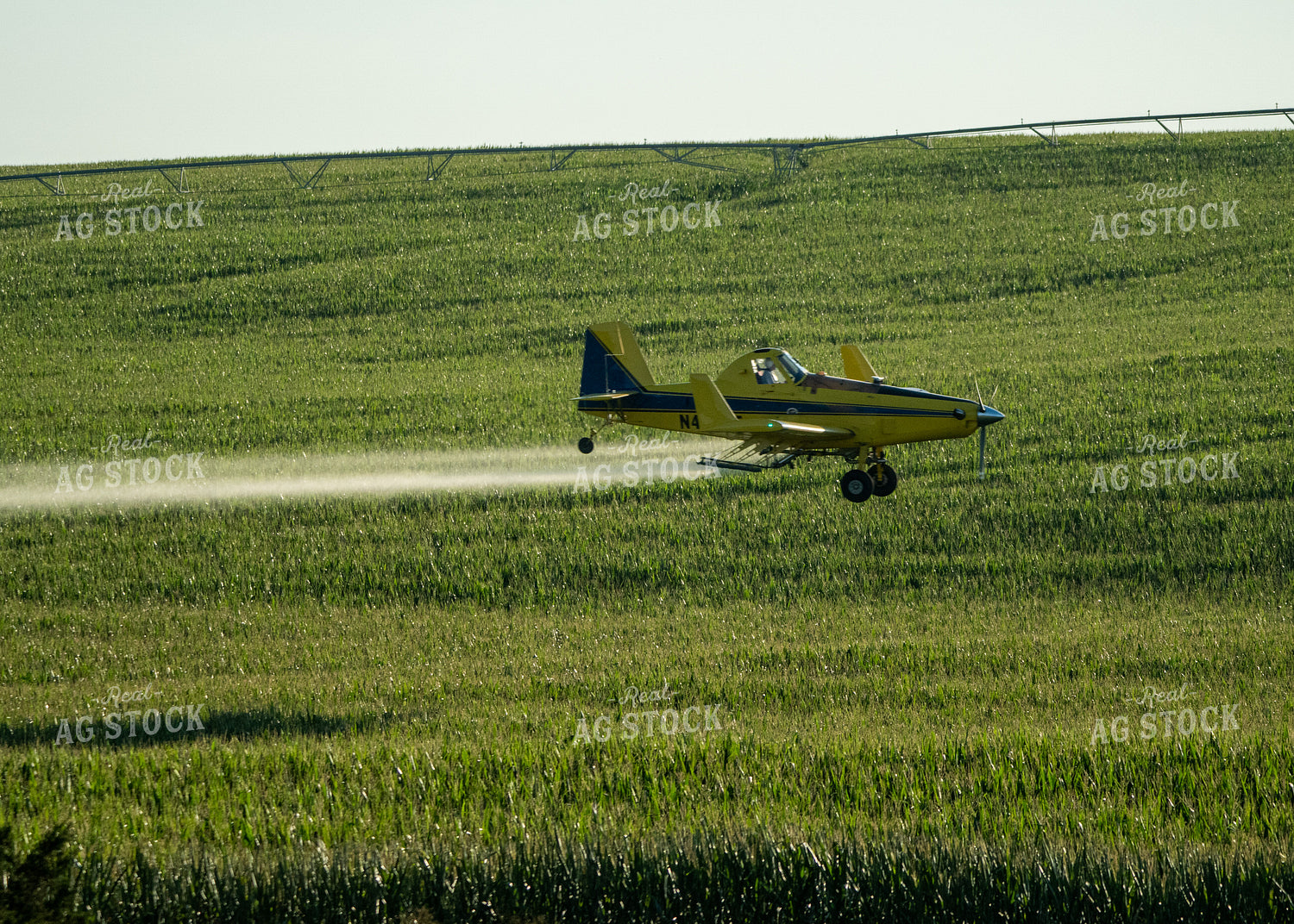 Crop Duster Spraying Corn 65044
