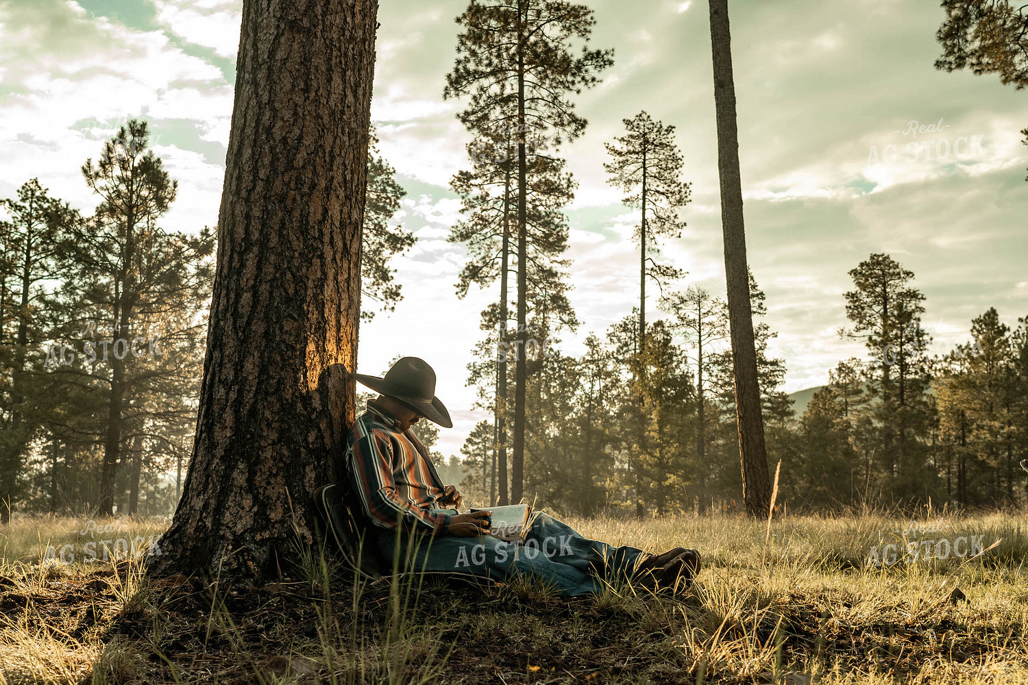 Rancher Reading 58311