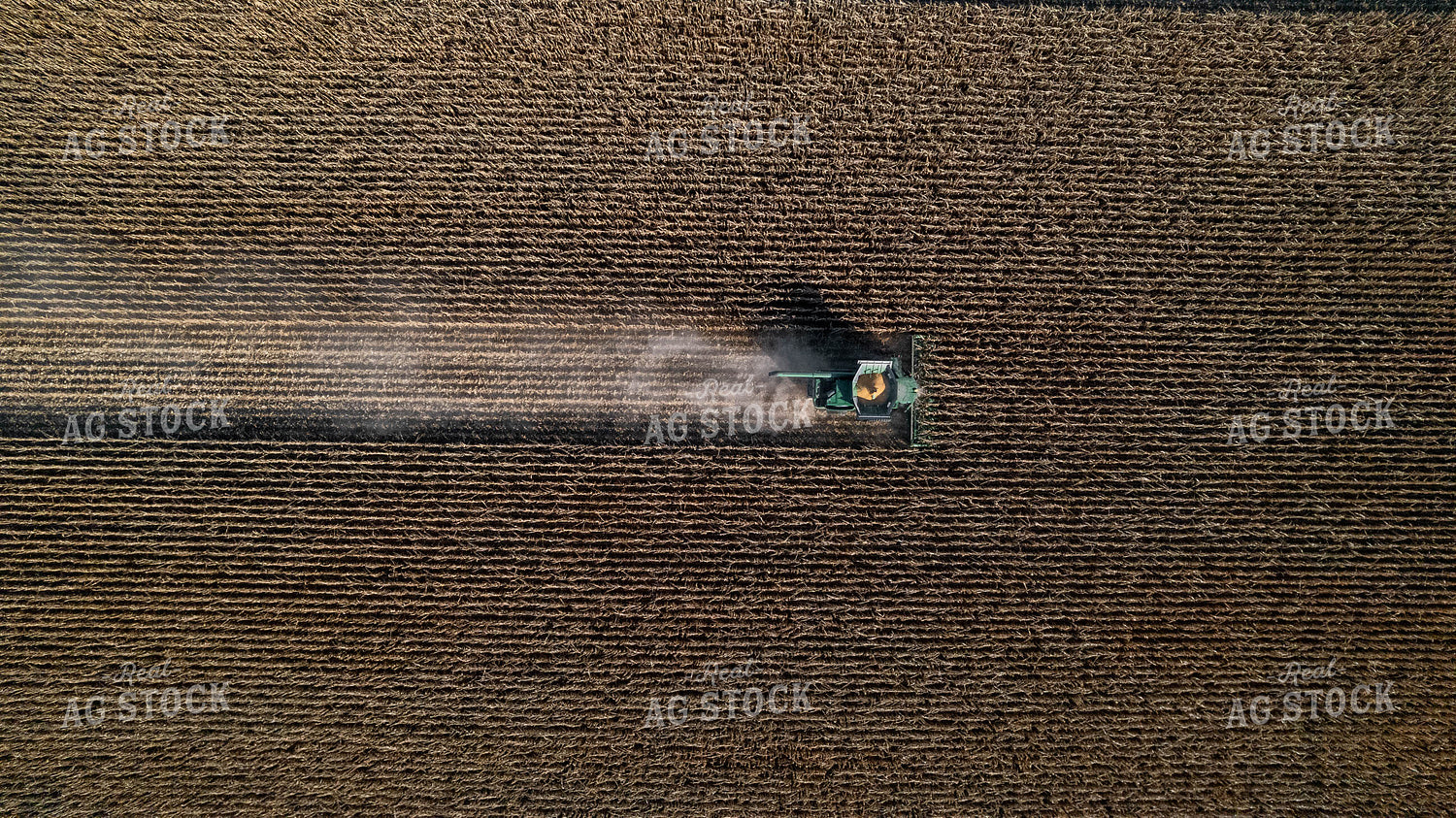 Aerial Corn Harvest 114013