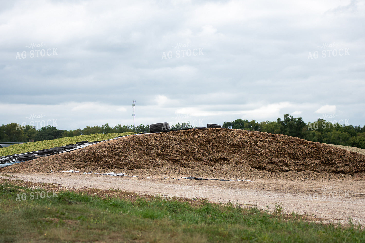 Silage Flat Storage 50419