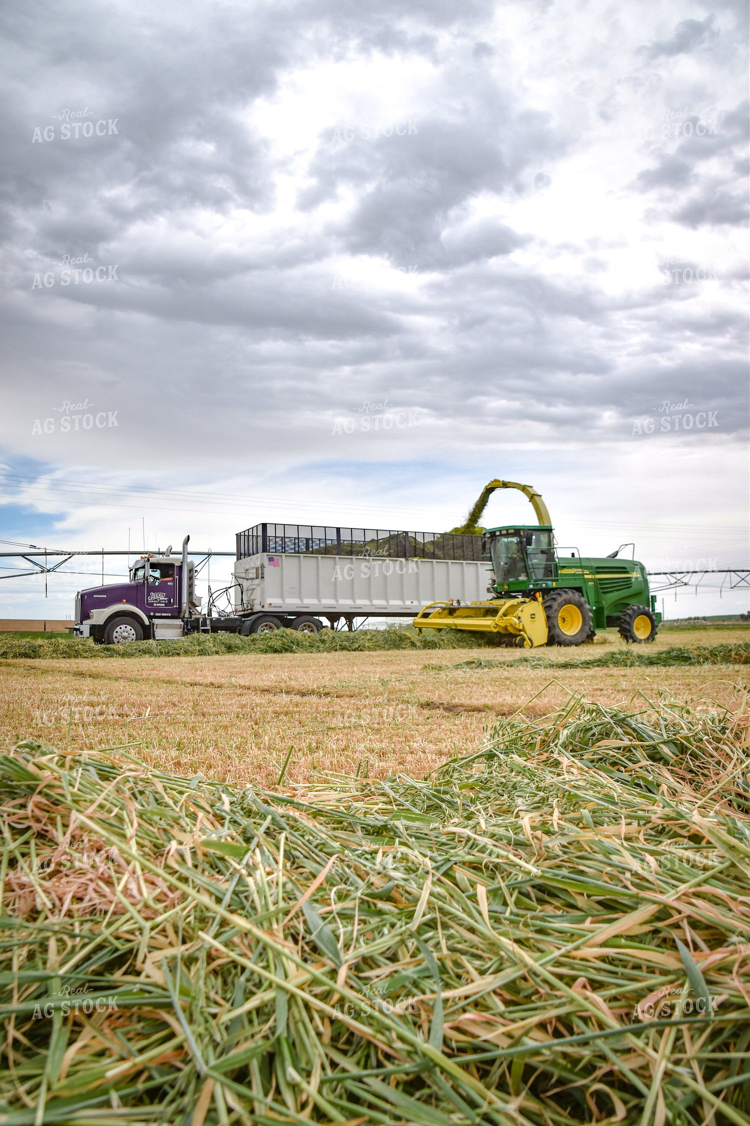Making Haylage 56434