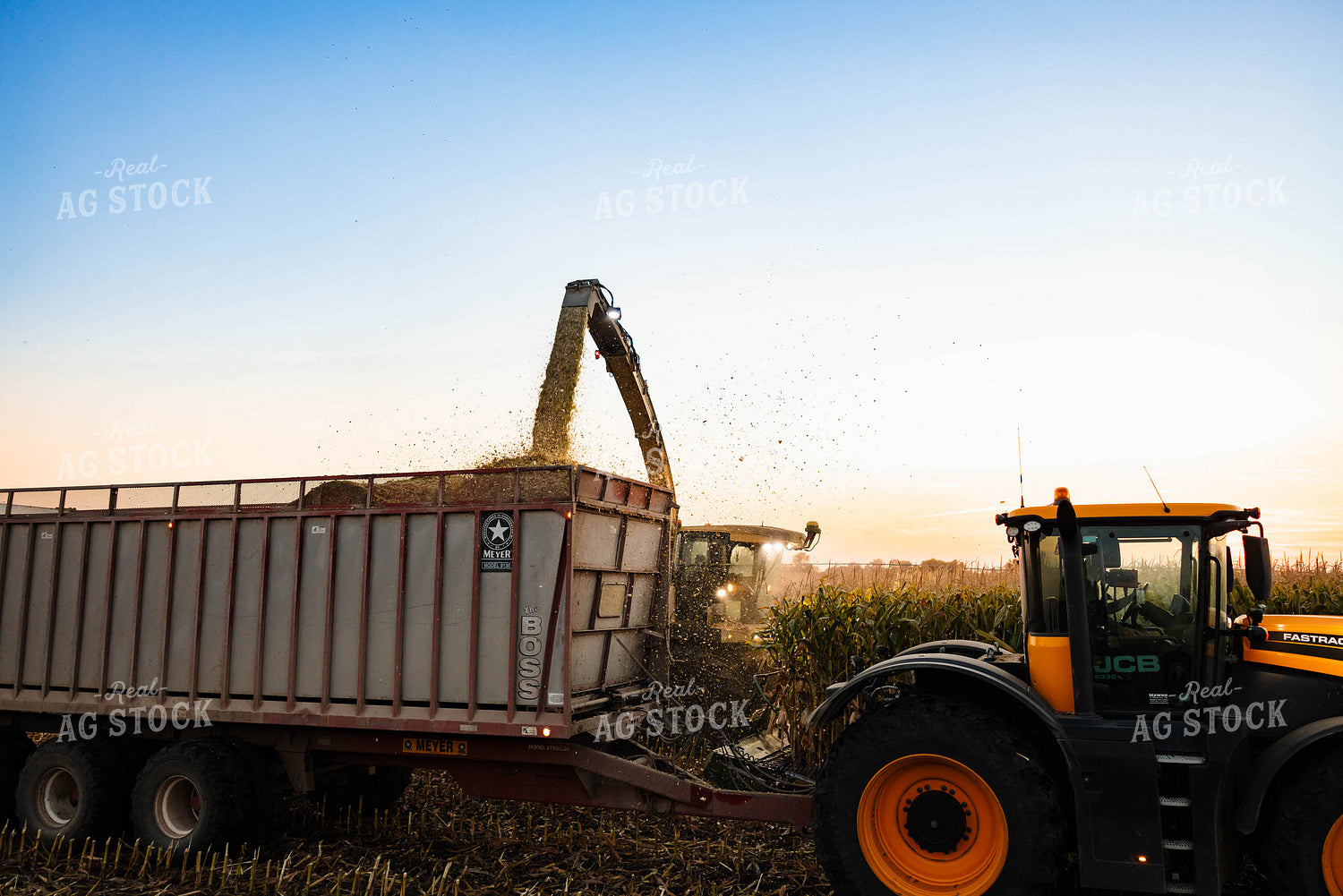 Silage Harvest 152304