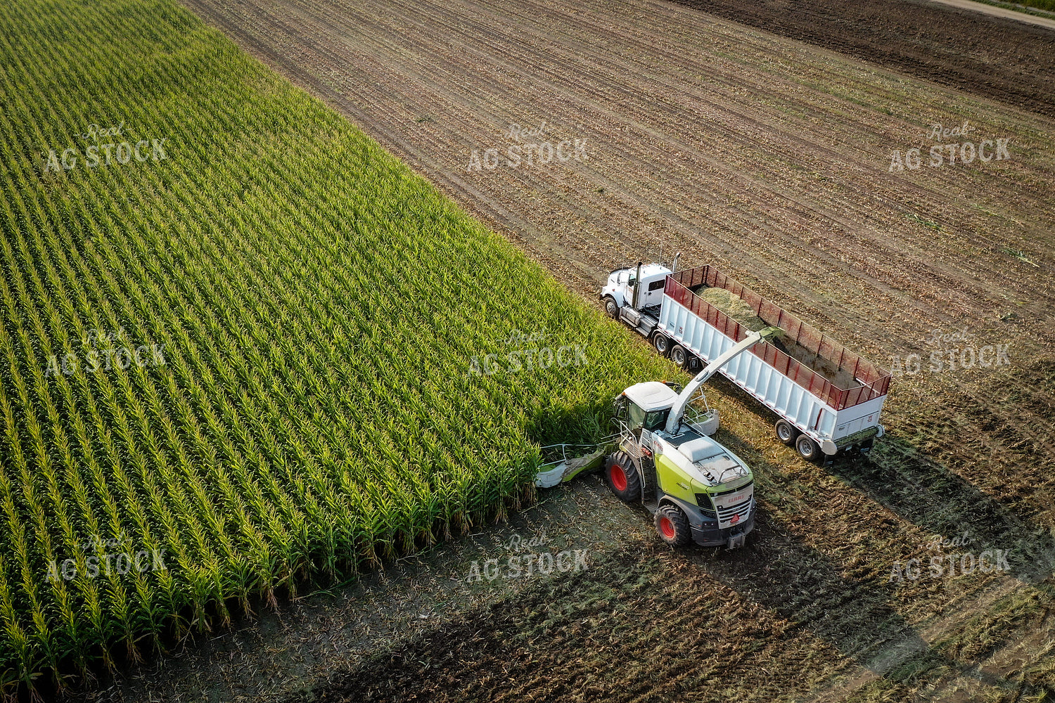 Silage Harvest Drone 56196