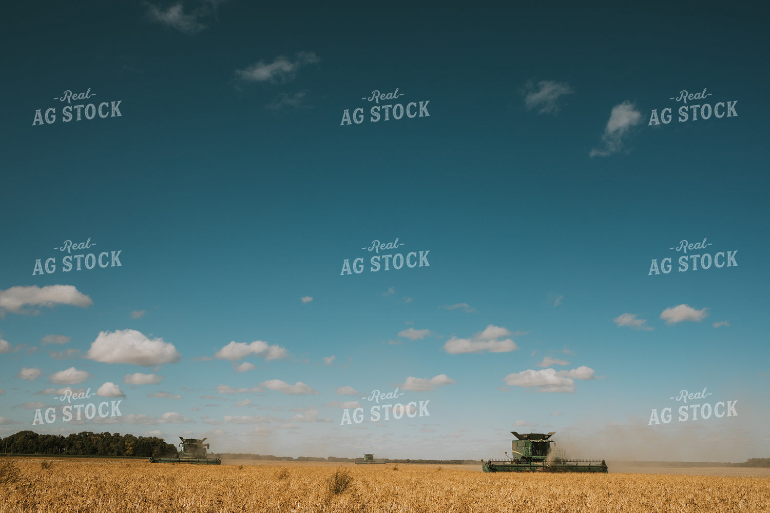 Combines Harvesting Beans 3299